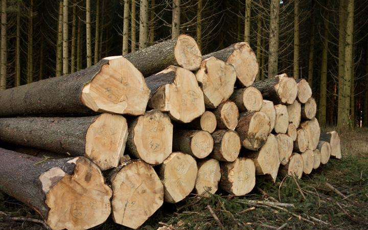 wood