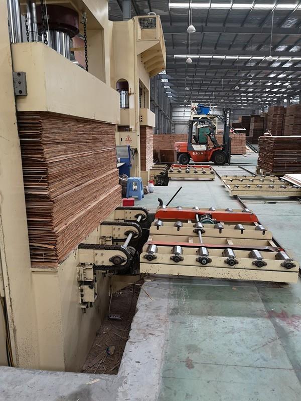 4x8ft 500ton Hydraulic Plywood Cold Press